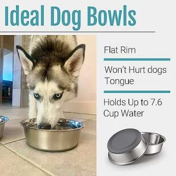 PEGGY11 Stainless Steel Dog Bowls - Durable and Nonslip Feeding