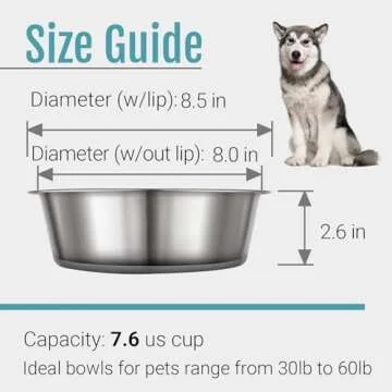 PEGGY11 Stainless Steel Dog Bowls - Durable and Nonslip Feeding