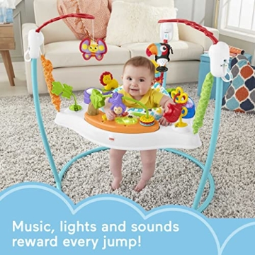Fisher-Price Baby Bouncer 360 Musical Play Center with Toys