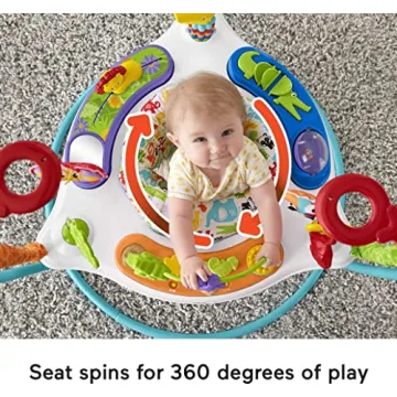 Fisher-Price Baby Bouncer 360 Musical Play Center with Toys