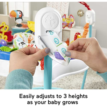 Fisher-Price Baby Bouncer 360 Musical Play Center with Toys