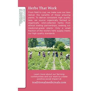 Traditional Medicinals Organic Pregnancy Tea for Comfort