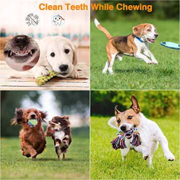 VANFINE Dog Toys Aggressive Chewers - Puppy Toys - Puppy chew Toys - Dog Toys for Small Dogs - Rope ...