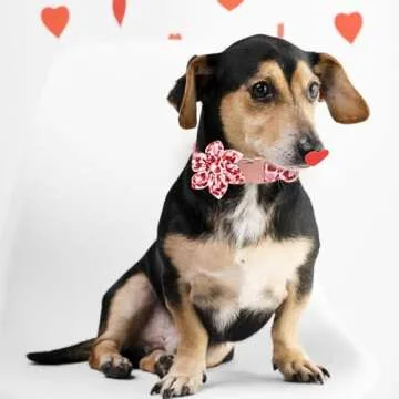 MACA Bates Valentine Dog Collar with Flower Bow Tie Love You Sweet Heart Dogs Collars Red Soft Adjustable Collor with Flowers Bowtie Valentine's for Small Medium Large Girl Boy Puppy