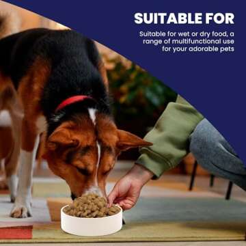 SPOT Standard Crock Dish - Heavy Duty, Non-Slip, Round Ceramic Food/Water Bowl for Pets, Ideal for Medium to Large Dogs or Multiple Animals, Dishwasher Safe - 9.5 in, 8 Cups, (64 Oz)