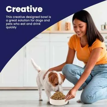 SPOT Standard Crock Dish - Heavy Duty, Non-Slip, Round Ceramic Food/Water Bowl for Pets, Ideal for Medium to Large Dogs or Multiple Animals, Dishwasher Safe - 9.5 in, 8 Cups, (64 Oz)