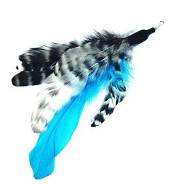 Pet Fit For Life - Retractable Feather Wand for Cats - Durable Interactive Cat Toy, Teaser Fishing P...