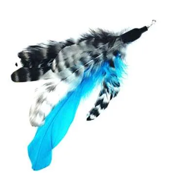 Pet Fit For Life - Retractable Feather Wand for Cats - Durable Interactive Cat Toy, Teaser Fishing P...