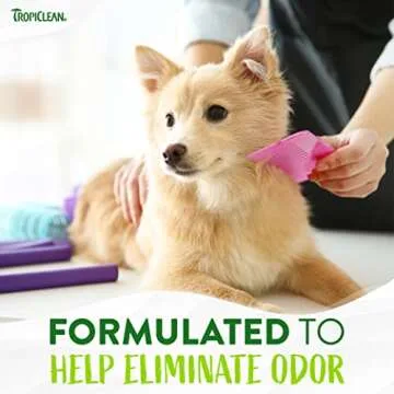 TropiClean Deodorizing Cat & Dog Shampoo for Smelly Dogs, Cats, Puppies, and Kittens, Powerful Odor Control, Coconut Scent, Made in the USA, 1 gallon