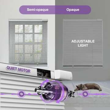 Motorized Smart Blinds with Remote - Solar Power & Alexa Compatible