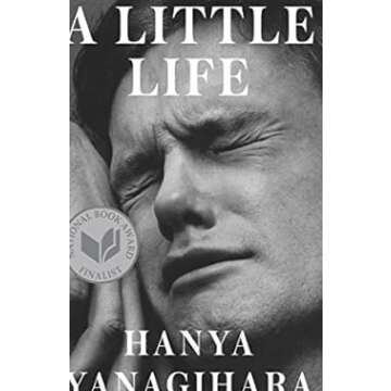 A Little Life - A Deep Emotional Novel