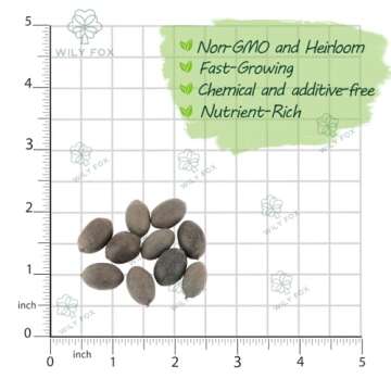 Rare Lotus Seeds for Planting – 15 Pre-Cut Bonsai Lotus Flower Seeds in Water – Non-GMO, Heirloo...