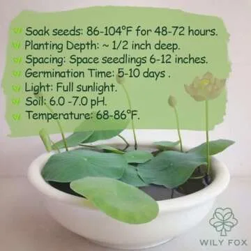 Rare Lotus Seeds for Stunning Lotus Flowers in Gardens