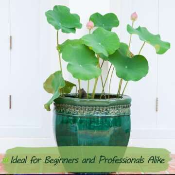 Rare Lotus Seeds for Stunning Lotus Flowers in Gardens