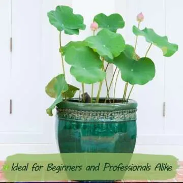 Rare Lotus Seeds for Stunning Lotus Flowers in Gardens