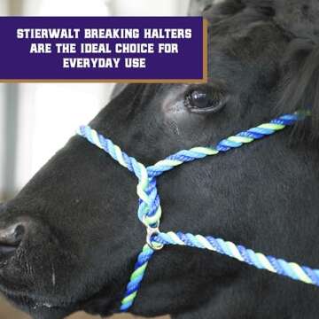 Weaver Leather Livestock Kirk Stierwalt Breaking Halter , Blue/Hurricane Blue/Lime Zest