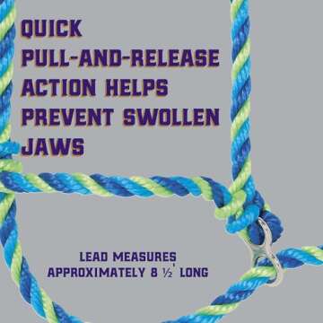 Weaver Leather Livestock Kirk Stierwalt Breaking Halter , Blue/Hurricane Blue/Lime Zest