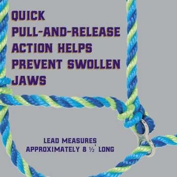 Weaver Leather Livestock Kirk Stierwalt Breaking Halter , Blue/Hurricane Blue/Lime Zest