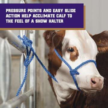 Weaver Leather Livestock Kirk Stierwalt Breaking Halter , Blue/Hurricane Blue/Lime Zest