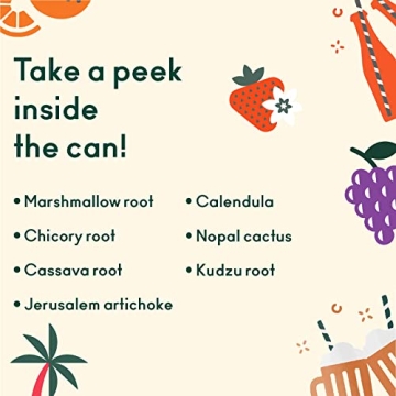 Olipop Prebiotic Soda Sampler Variety Pack for Health