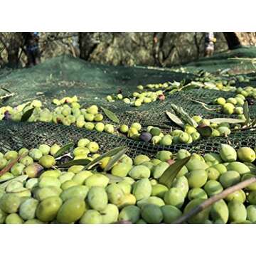 Laconiko Ultra Premium 100% Extra Virgin Olive Oil Value Pack | Cold Pressed | From Greece | KORONEIKI Variety | 2023 Gold Medal Award Winning NYIOOC | (76.1 OZ (6 Bottles of 12.7 OZ))