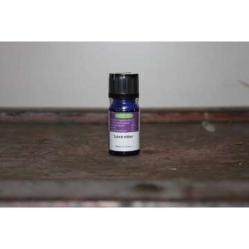 EcoGecko Little Squirt air revitalizer, 4.25"D x 5"H, Black