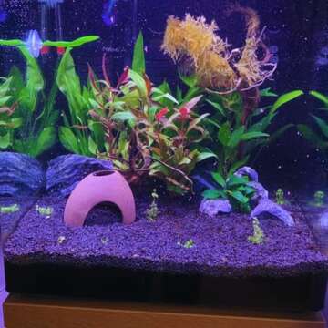 Saim Aquarium Ceramic Cave for Betta Fish and Shrimp