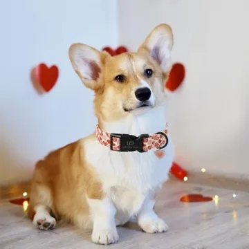 UP URARA PUP Valentine’s Dog Collar, Red Heart Dog Collar with Quick Release, Sweet Valentine’s Gift Pet Girl Boy Dog Collar for Puppy Small Medium Dogs, Wedding Dog Collar