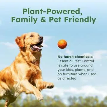 BugMD Ant Killer & Bug Spray - Roach and Cockroach Killer Indoor, Spider Spray for Home, Fly and Ins...