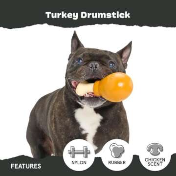 Barkbox Super Chewer Tough Dog Chew Toys for Aggressive Chewers, Dental Stimulating (Turkey - Small)