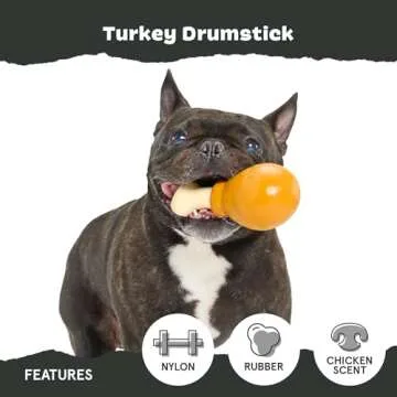 Durable Barkbox Turkey Chew Toy for Large Aggressive Chewers