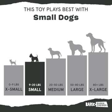 Barkbox Super Chewer Tough Dog Chew Toys for Aggressive Chewers, Dental Stimulating (Turkey - Small)
