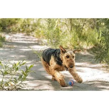 Chuckit! Ultra Squeaker Dog Ball, Fetch Toy, Medium, 1 Pack