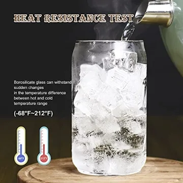 BaveL 20 oz Can Shaped Beer Glasses Set Elegant Durable