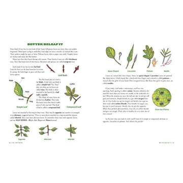 The Tree Book for Kids and Their Grown-Ups