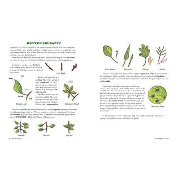 The Tree Book for Kids and Their Grown-Ups: Explore Nature