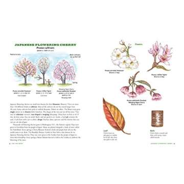 The Tree Book for Kids and Their Grown-Ups