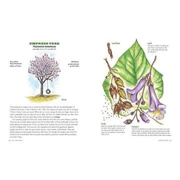 The Tree Book for Kids and Their Grown-Ups: Explore Nature