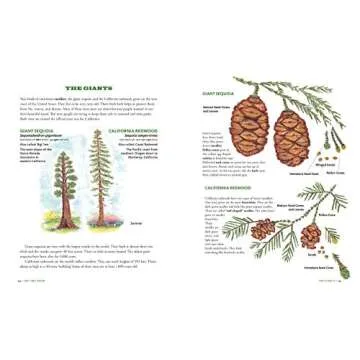 The Tree Book for Kids and Their Grown-Ups: Explore Nature