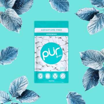 PUR Gum - Aspartame-Free Wintergreen Chewing Gum