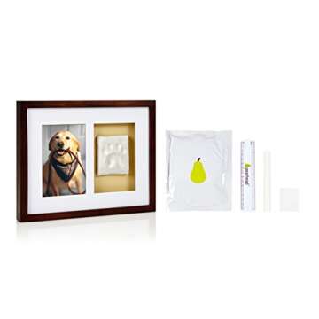 Pearhead Dog Or Cat Paw Prints Pet Wall Frame With Clay Imprint Kit, Pet Sentiment Keepsake Frame, P...