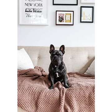 Pearhead Dog Or Cat Paw Prints Pet Wall Frame With Clay Imprint Kit, Pet Sentiment Keepsake Frame, Pet Memorial Picture Frame, Espresso 4 x 6"