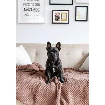 Pearhead Dog Or Cat Paw Prints Pet Wall Frame With Clay Imprint Kit, Pet Sentiment Keepsake Frame, Pet Memorial Picture Frame, Espresso 4 x 6"