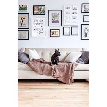 Pearhead Dog Or Cat Paw Prints Pet Wall Frame With Clay Imprint Kit, Pet Sentiment Keepsake Frame, Pet Memorial Picture Frame, Espresso 4 x 6"