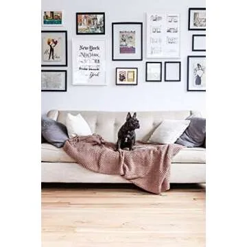 Pearhead Dog Or Cat Paw Prints Pet Wall Frame With Clay Imprint Kit, Pet Sentiment Keepsake Frame, Pet Memorial Picture Frame, Espresso 4 x 6"