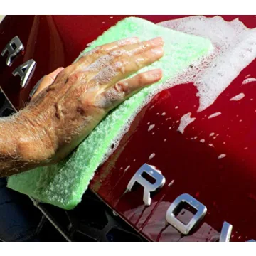 Bugs Off Pads 1 Pack for Effective Bug Removal