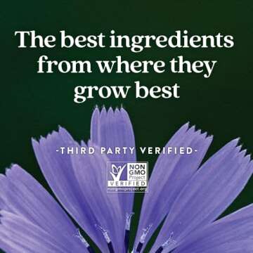 Probiotic Gummies for Holistic Gut Health Support