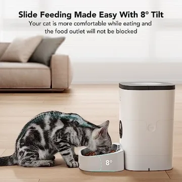 Automatic Cat Feeder with Timer and Voice Recorder