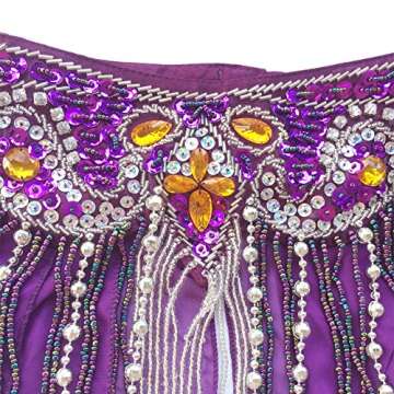 ROYAL SMEELA Belly Dance Costume Set for Women Belly Dance Bra and Belt Chiffon Dancing Skirts Professional Outfit 3pcs Purple
