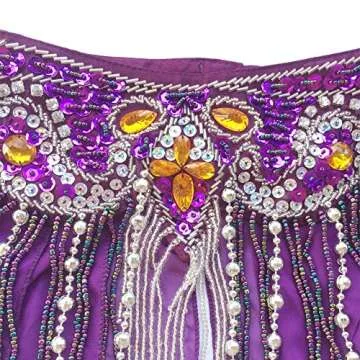 ROYAL SMEELA Belly Dance Costume Set for Women Belly Dance Bra and Belt Chiffon Dancing Skirts Professional Outfit 3pcs Purple